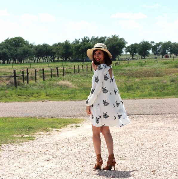 Embroidered Dress